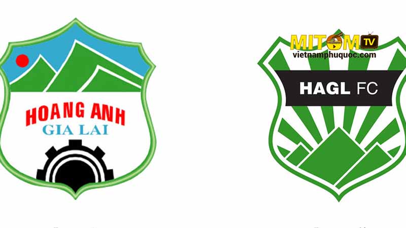 Chi tiết tổng quan về câu lạc bộ Bóng đá Hoàng Anh Gia Lai